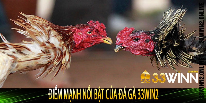 Điểm mạnh nổi bật của đá gà 33win2 – Vì sao người chơi tin chọn?